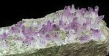 Amethyst Crystal Cluster - Veracruz, Mexico (Special Price) #42213-1